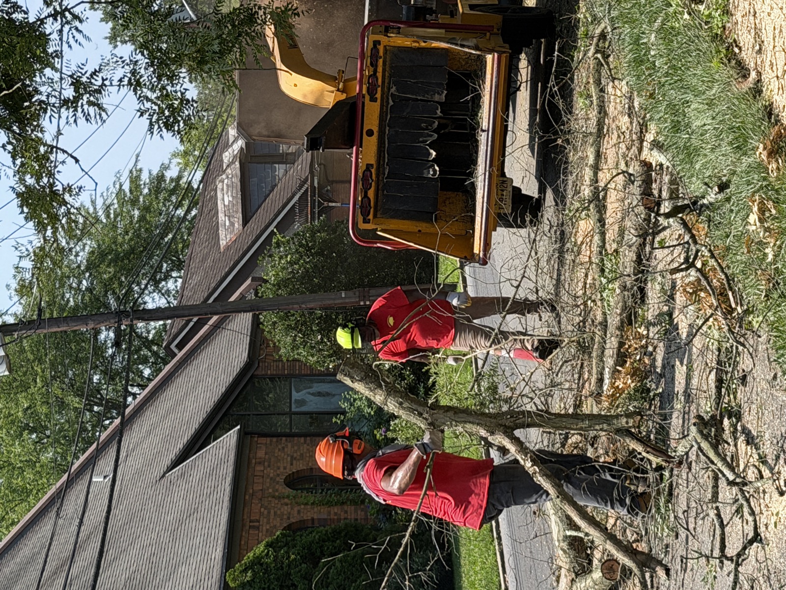 Edwards & Sons Pro crew cutting up a downed tree after a storm