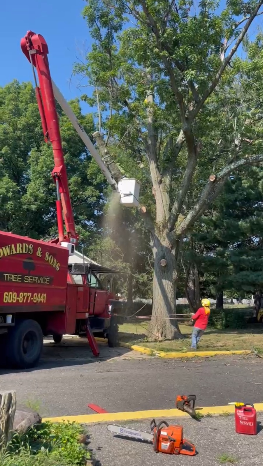 Edwards & Sons Pro crew clearing cut branches during a tree removal