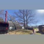 Tree trimming and pruning work in South Jersey